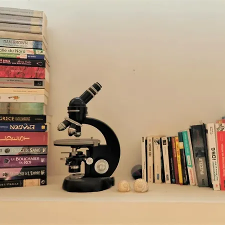 Lovely Townhouse Bordeaux