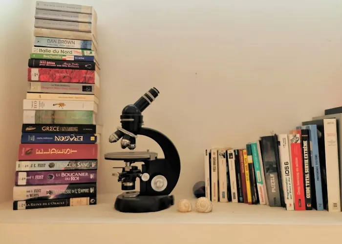 Lovely Townhouse Bordeaux